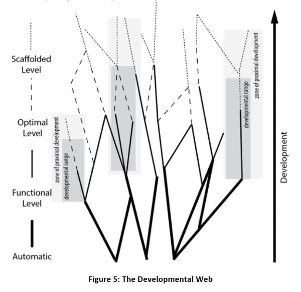 Kurt Fischer's (2020) Developmental Web. Fischer uses a developmental web as a metaphor to show how development occurs on multiple parallel strands rather than through linear stages.