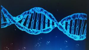 Behavior is as much choice as it is genetics (Maxometr Wikimedia Commons)