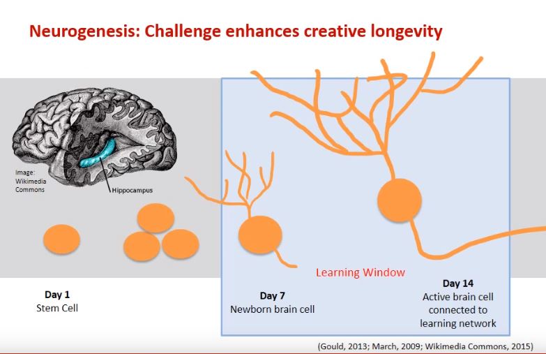The classroom as a dynamic learning system